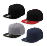 Adult Snap Back Hats